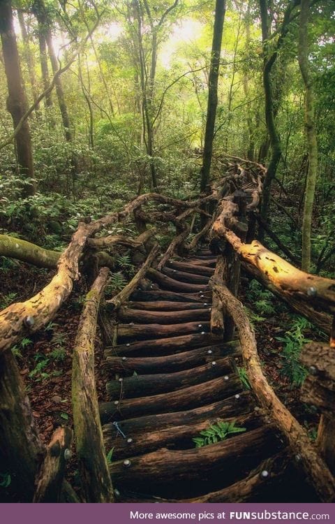 The serpentine path, Taiwan