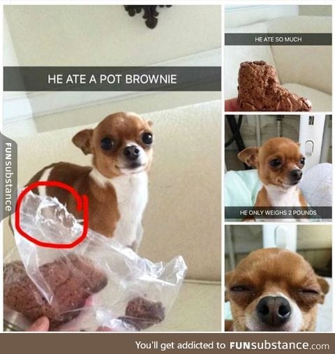 Poor guy