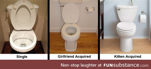Toilet through the years