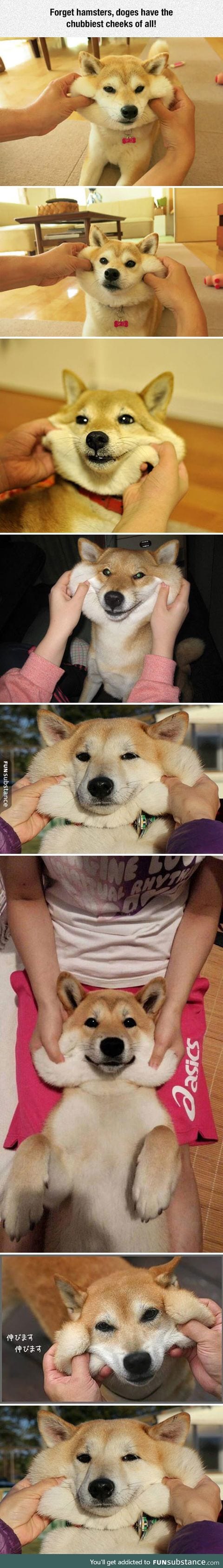 Chubbiest cheeks ever