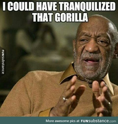 He could have saved that gorilla