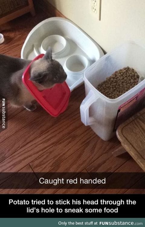 Caught
