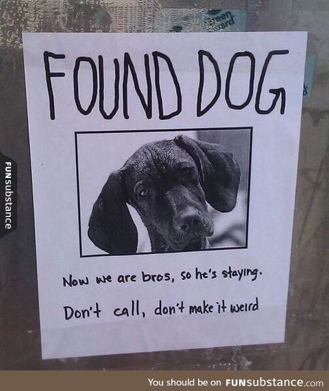 Best found dog ad I have seen anywhere