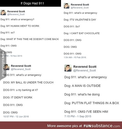 if dogs had 911