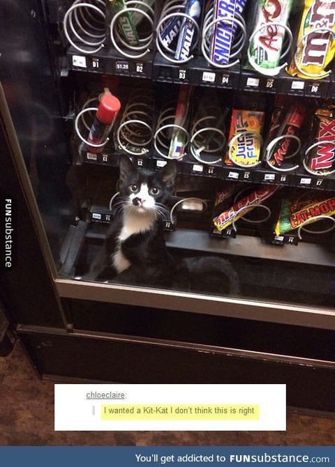 Vending machines are getting weirder