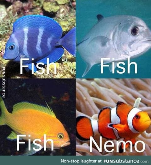 Whenever I try to name fish breeds