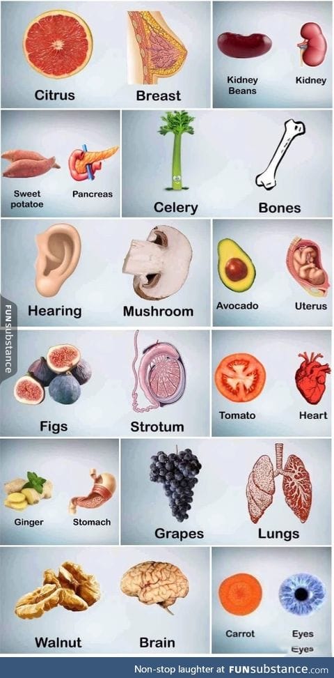 The shape which resembles the organ is beneficial for that organ