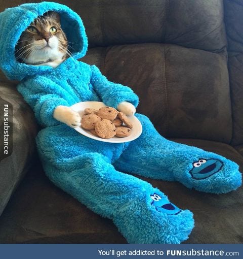This is my spirit animal