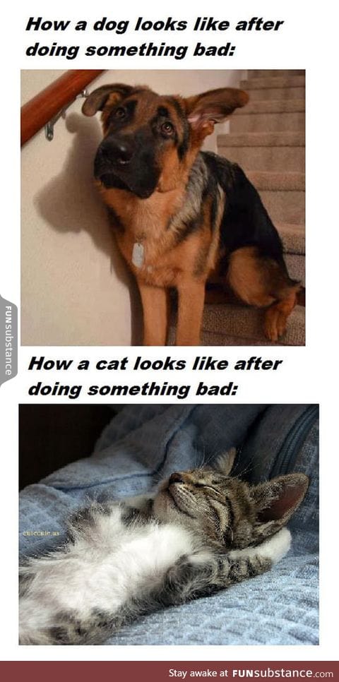 After doing something bad