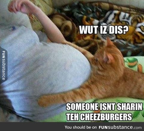 Wait human, what is this?