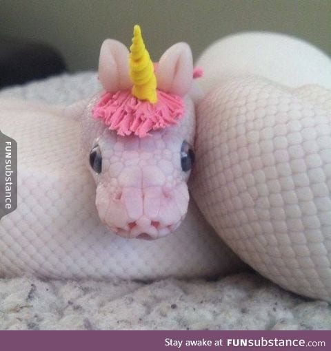 Snake with a unicorn hat