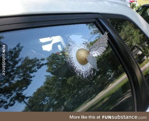 My Car Needs This