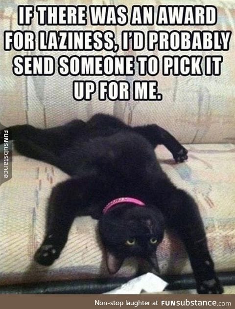 An award for laziness