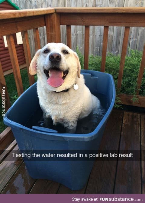 Testing the water