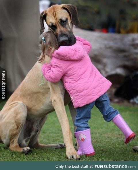 Sometimes, all you want to do is to hug a dog