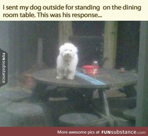 Don't Tell Him What He Can't Do
