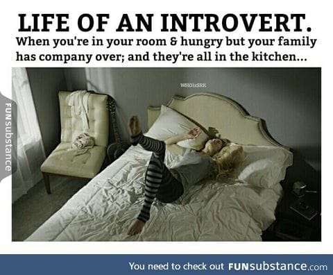 Introvert life