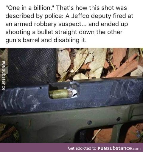 Holy guacamole