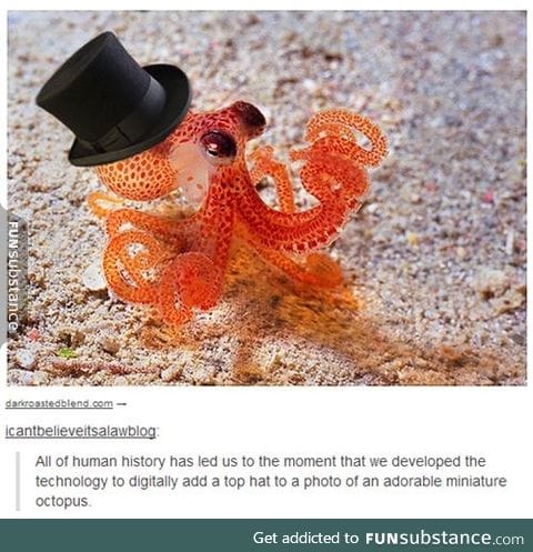 I'm back with my 200th post!