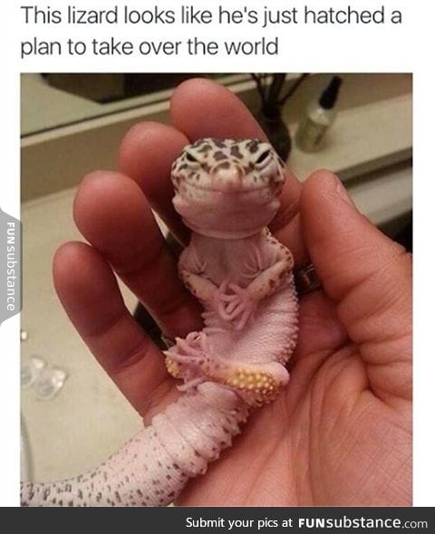 *evil laugh*