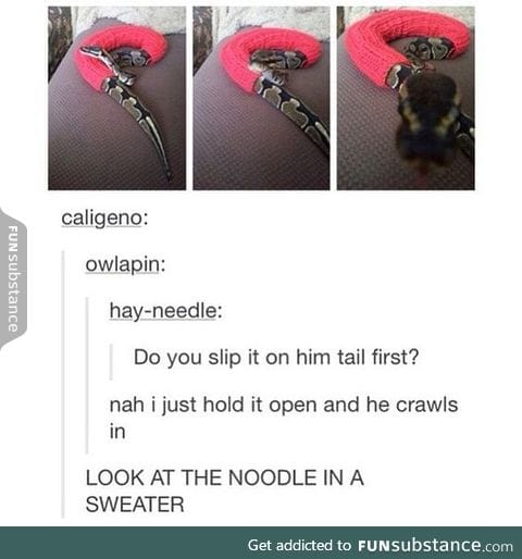Smol snek