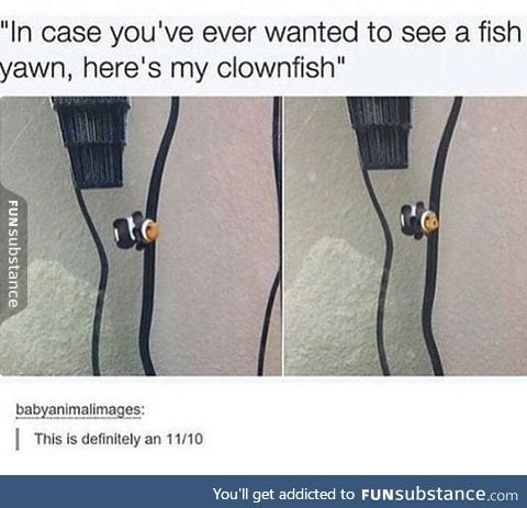 So cute!