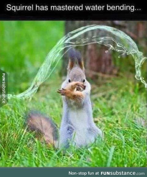 aqua squirrel