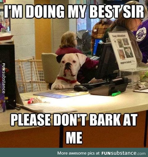 Please sir, be a good boy
