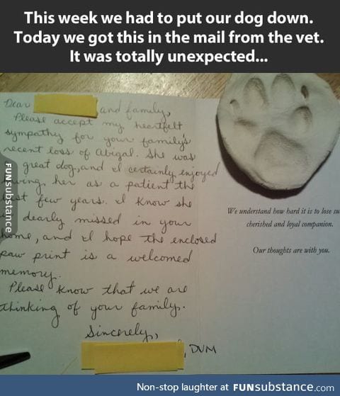 This vet has a big heart