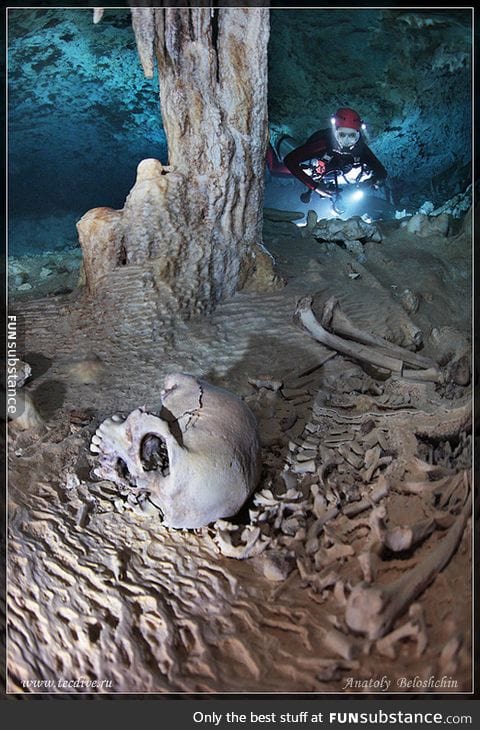 Imagine seeing this while you are scuba diving in a sea cave