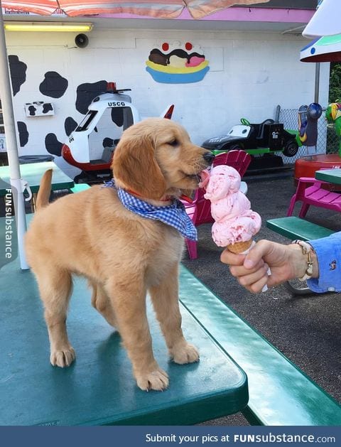 Well-behaved pupper gets a treat :)