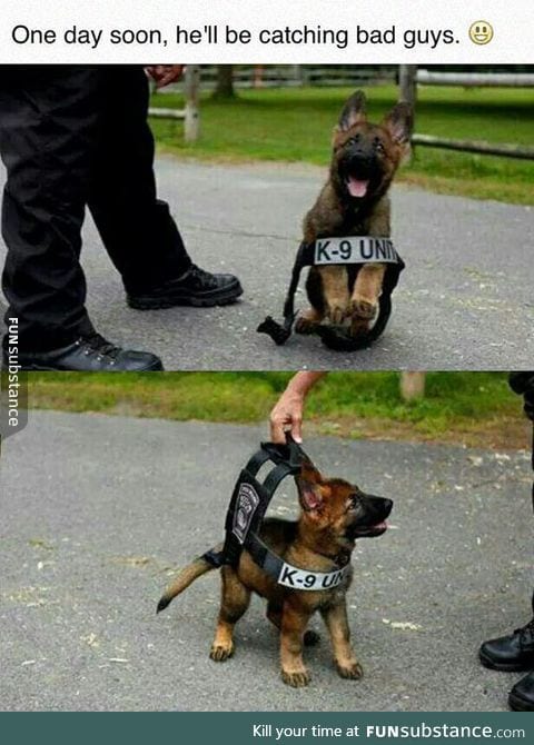 Cutest police officer ever
