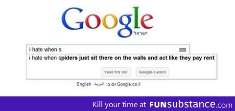 Spiders