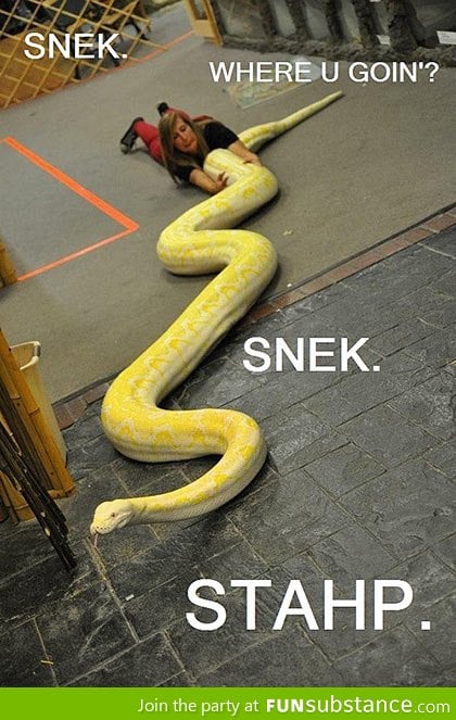 Snake, stahp!