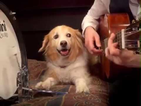 Gimme a beat buddy!
