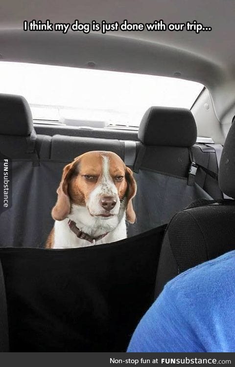 This better not end at the vet clinic
