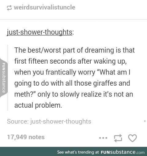 Weird dreams are the best