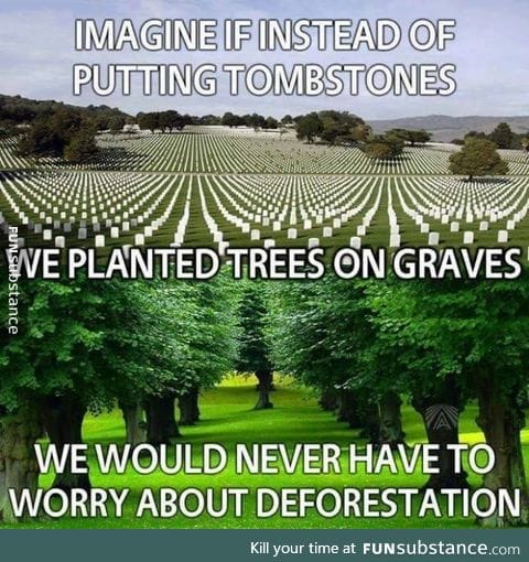 We will have parks instead of cemeteries