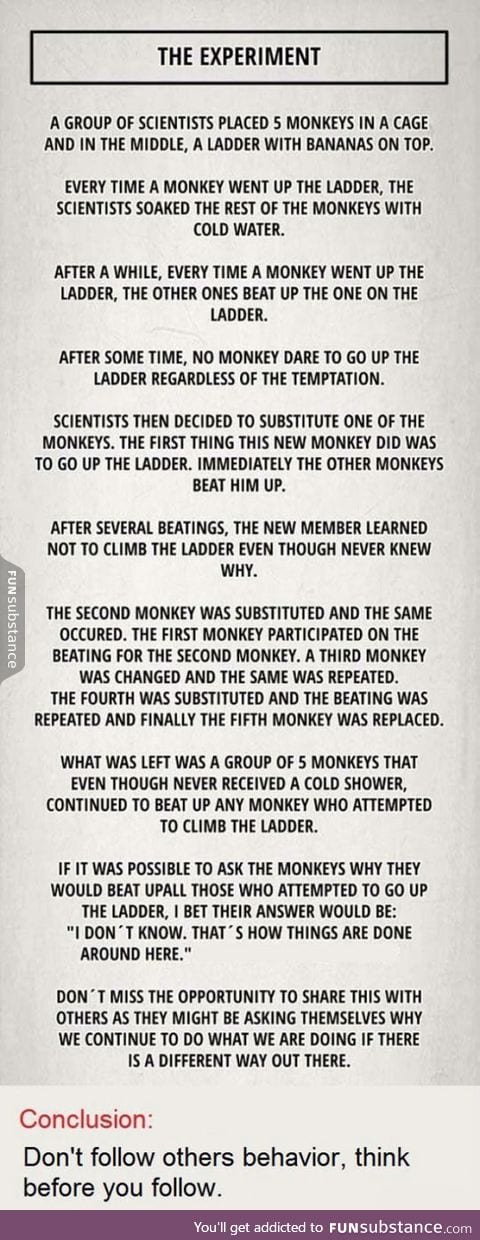 The banana experiment
