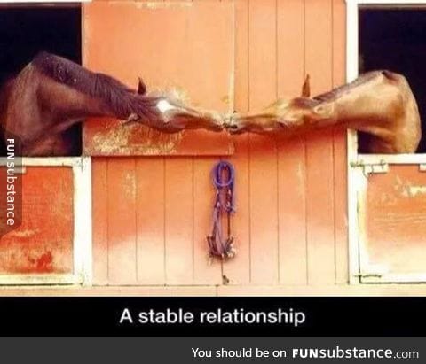 Where's The Bridle Party?