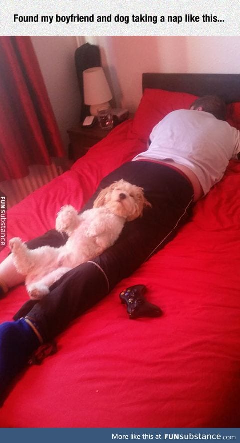 Swiggity Swooty, I'm Sleeping On That Booty