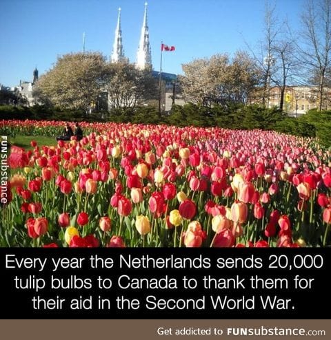 The Netherlands is grateful
