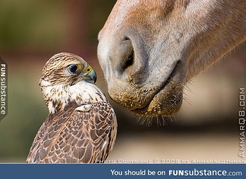 when your friend buys new perfume and you don't care about personal boundaries