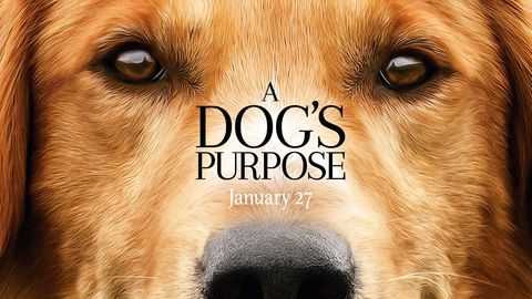 I loved this book. Hopefully the movie will do it justice.