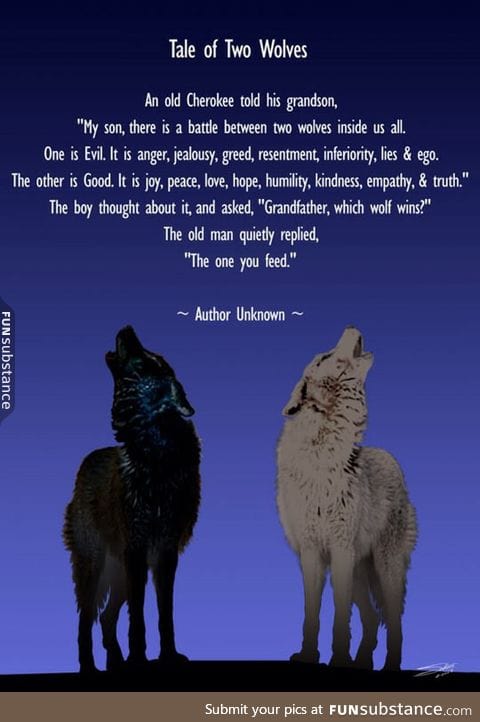 Story of two wolves