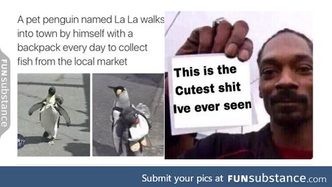 So adorable!
