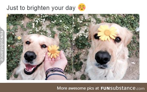 Awww :D