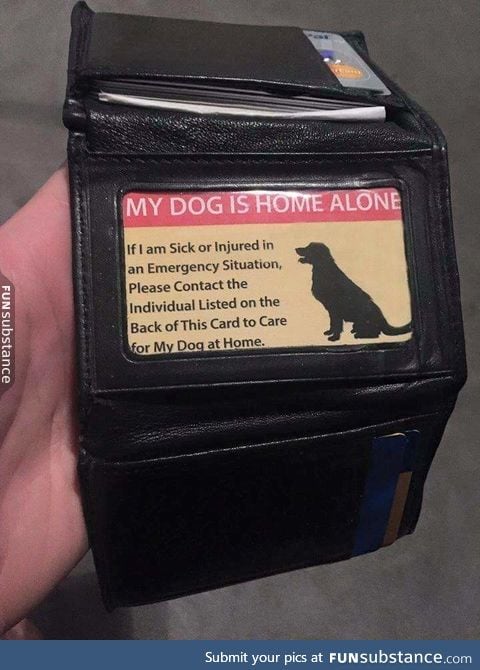 That's pretty awesome for dog owners