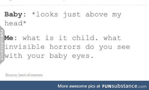 Or everytime a cat looks intensly at the ceiling