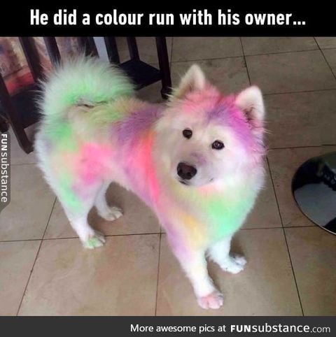 So colourful, much wow